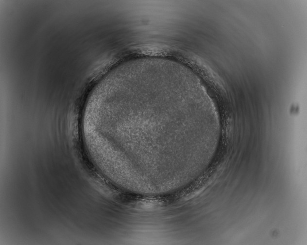 X0000102360696200808291226