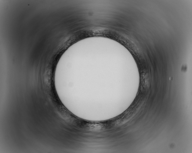 X0000102360698200808291226
