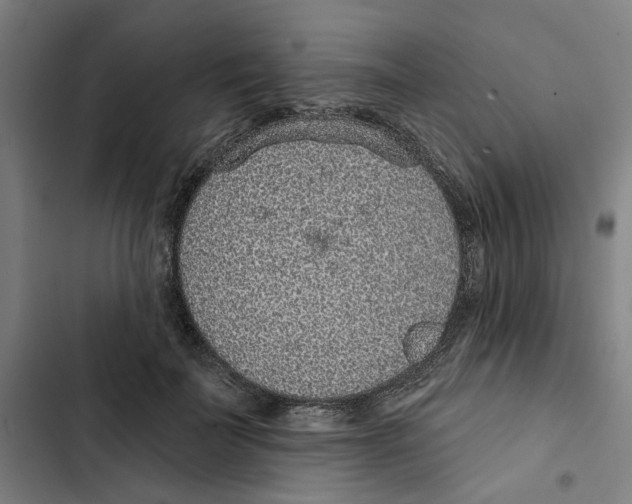 X0000102360699200808291226