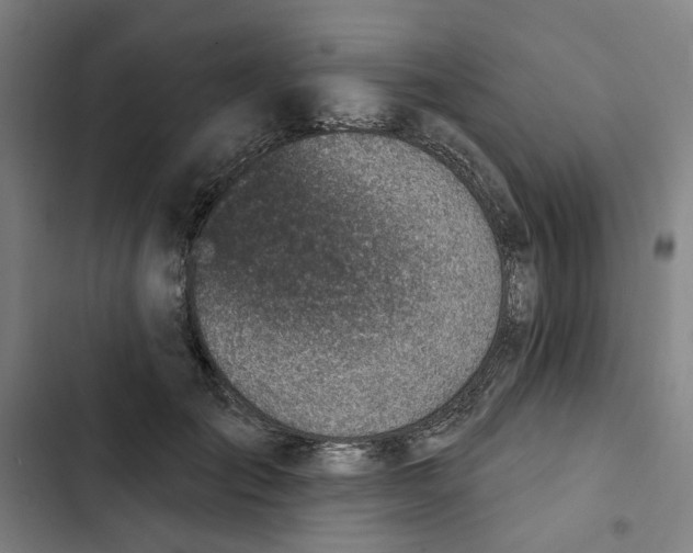 X0000102360701200808291226