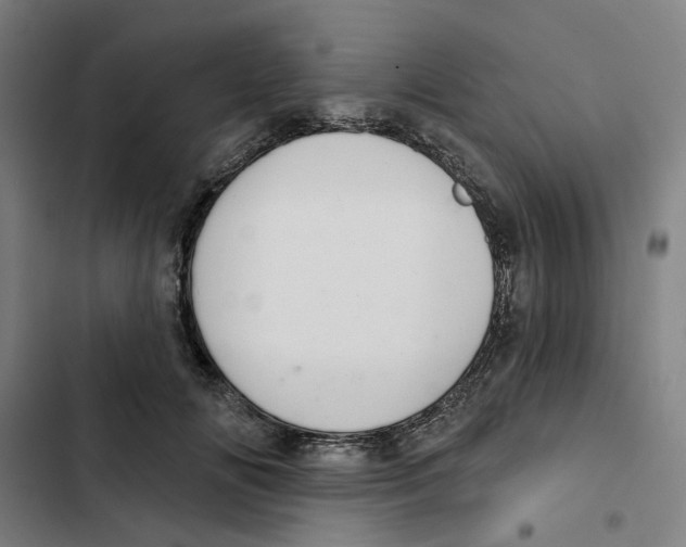 X0000102360702200808291225