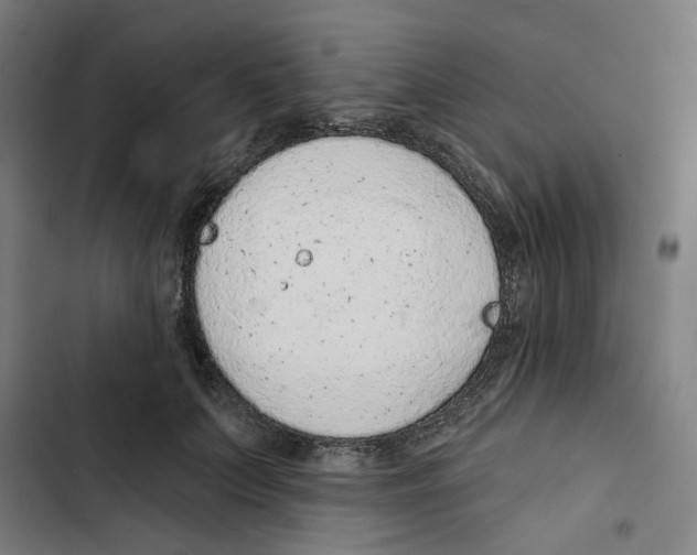 X0000102360703200808291225