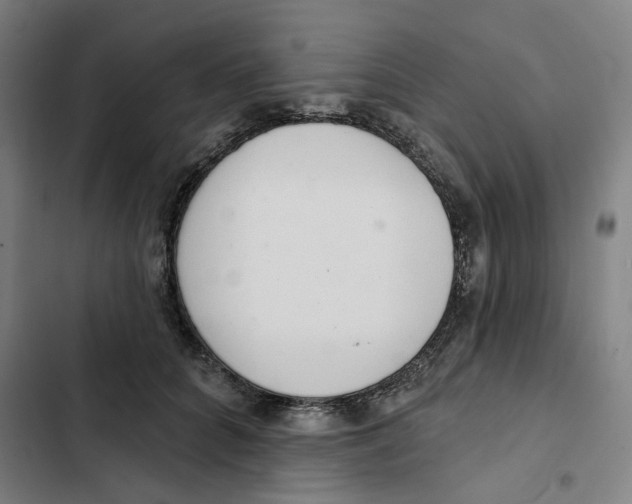 X0000102360704200808291225