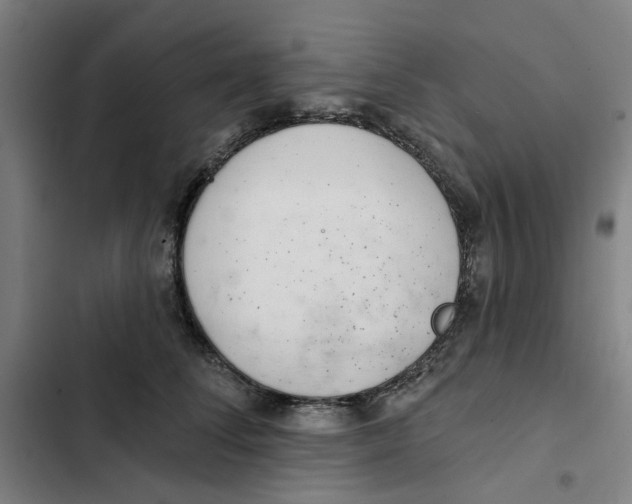 X0000102360708200808291225
