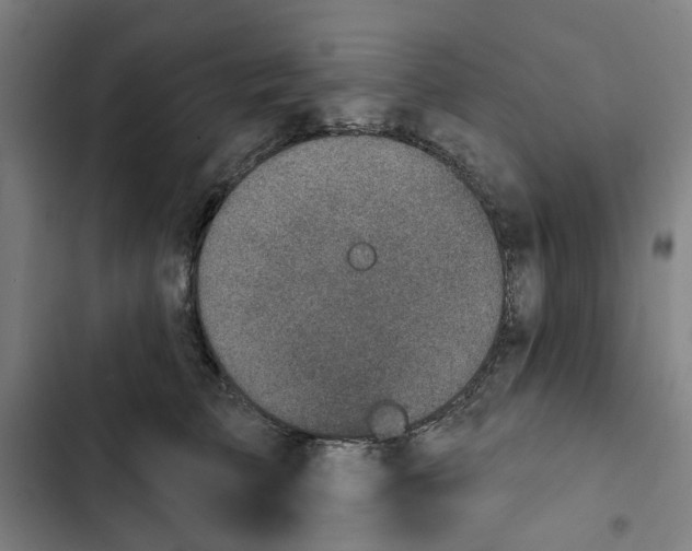 X0000102360709200808291225