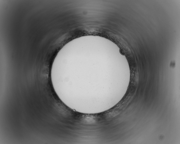 X0000102360710200808291225