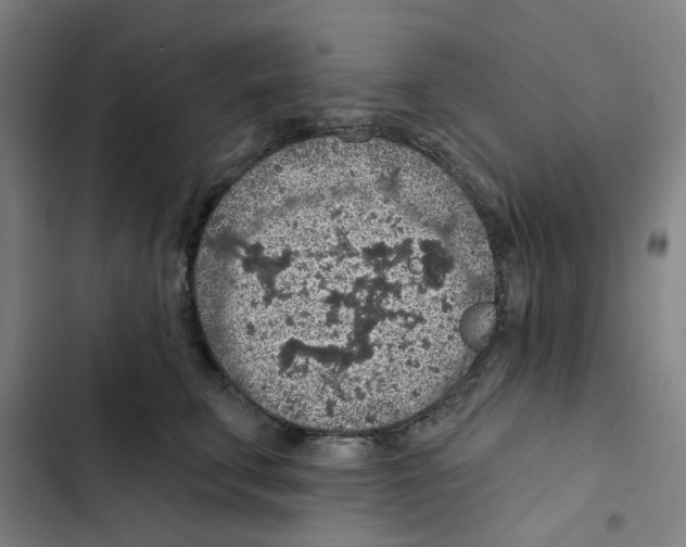 X0000102360711200808291225