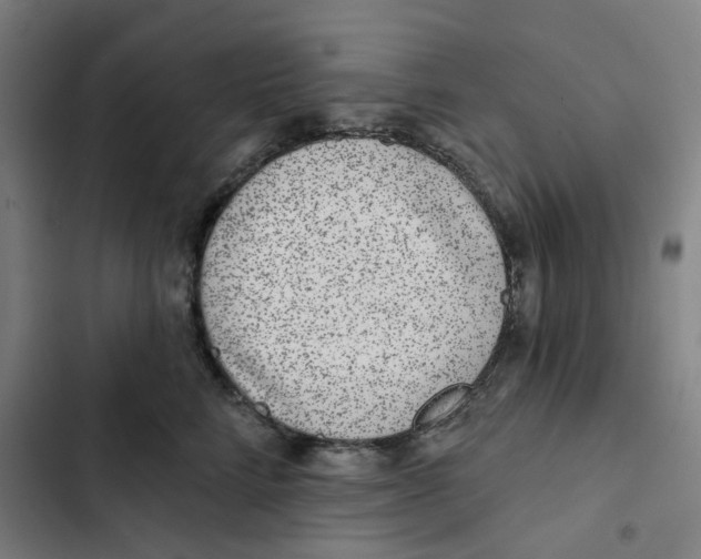 X0000102360712200808291225