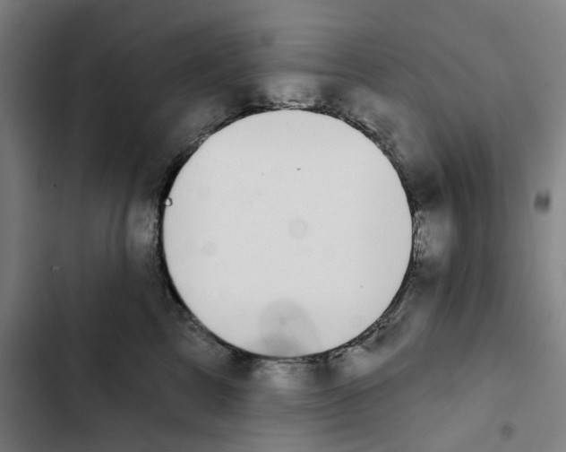 X0000102360713200808291225