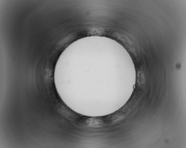 X0000102360714200808291225