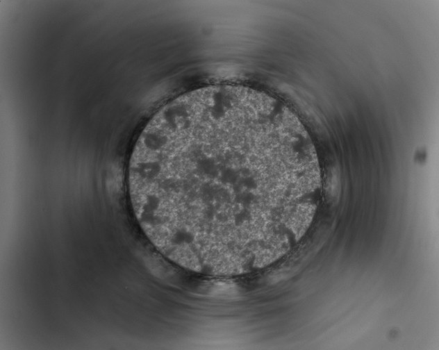 X0000102360715200808291225