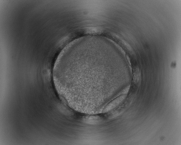 X0000102360716200808291225