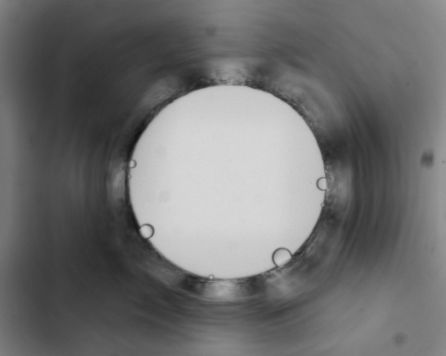 X0000102360717200808291225