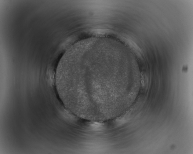 X0000102360718200808291225
