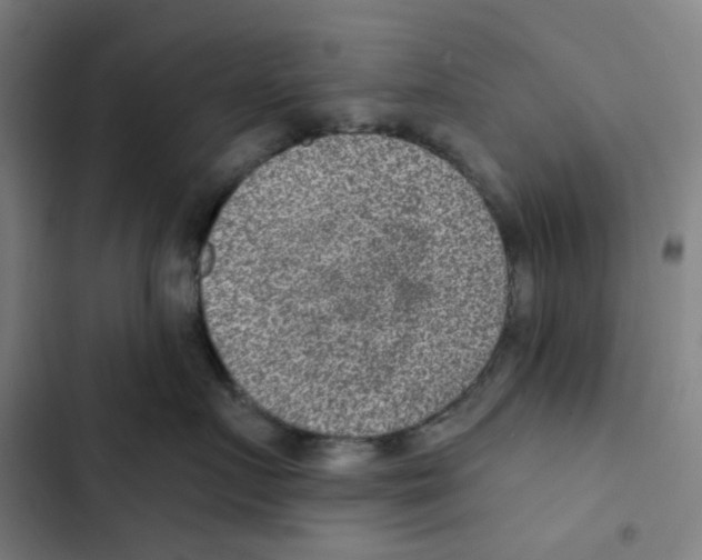 X0000102360719200808291225