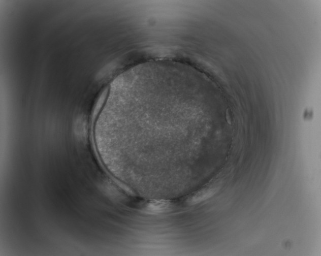 X0000102360720200808291225