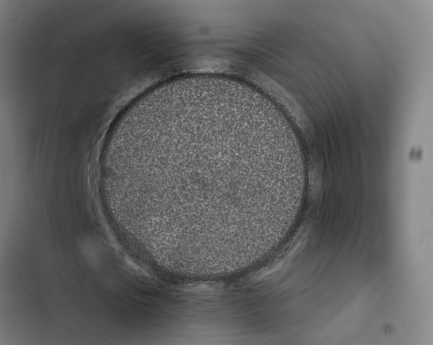 X0000102360721200808291224