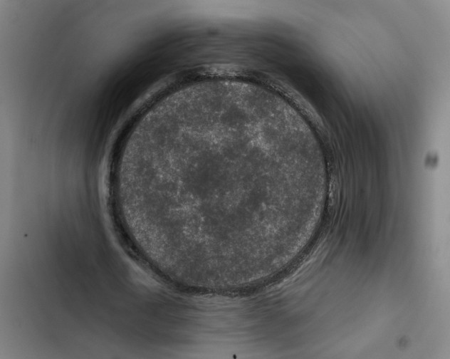 X0000102360722200808291224