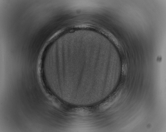 X0000102360724200808291224