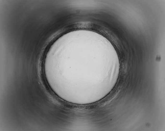 X0000102360725200808291224