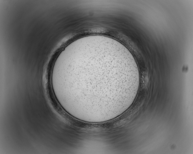 X0000102360726200808291224