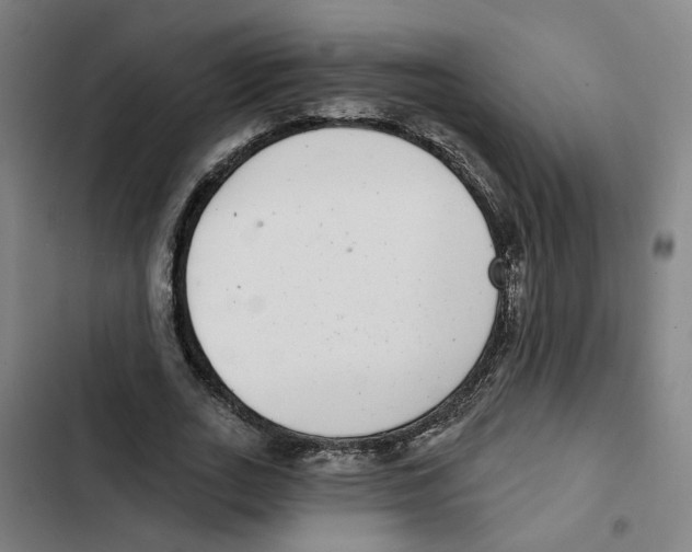 X0000102360727200808291224