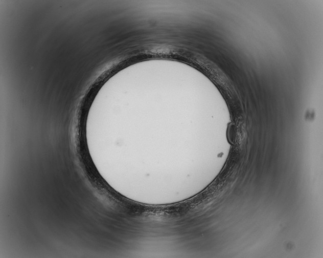 X0000102360728200808291225