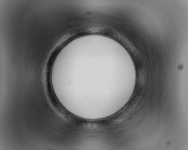 X0000102360730200808291225