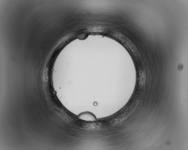 X0000102360731200808291225
