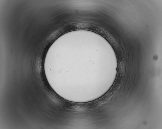 X0000102360733200808291225