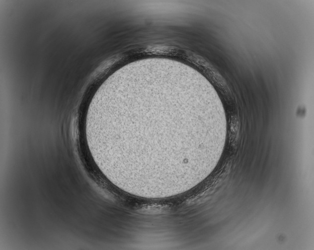 X0000102360734200808291225