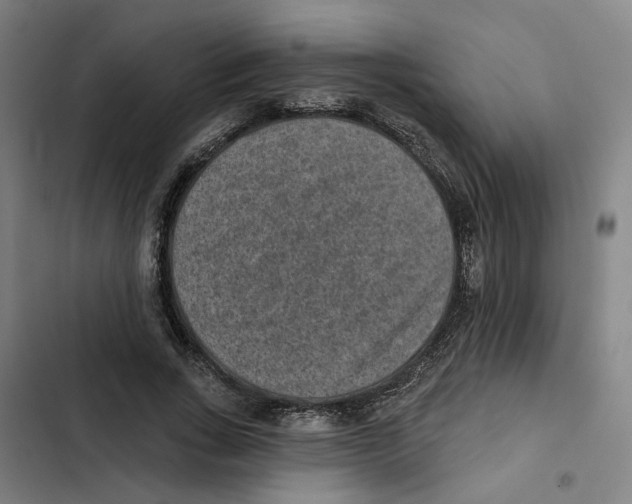 X0000102360735200808291225