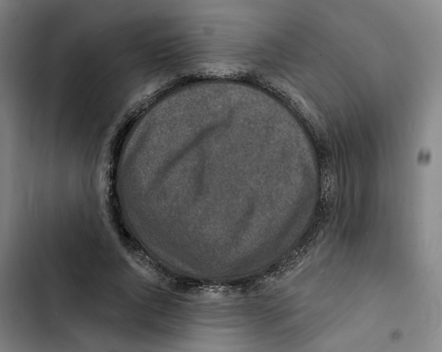 X0000102360736200808291225