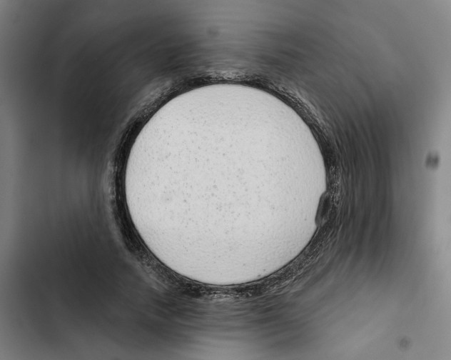 X0000102360738200808291225