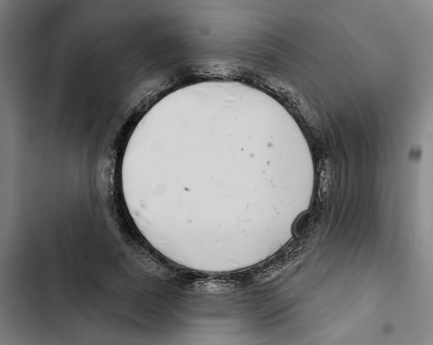 X0000102360739200808291225