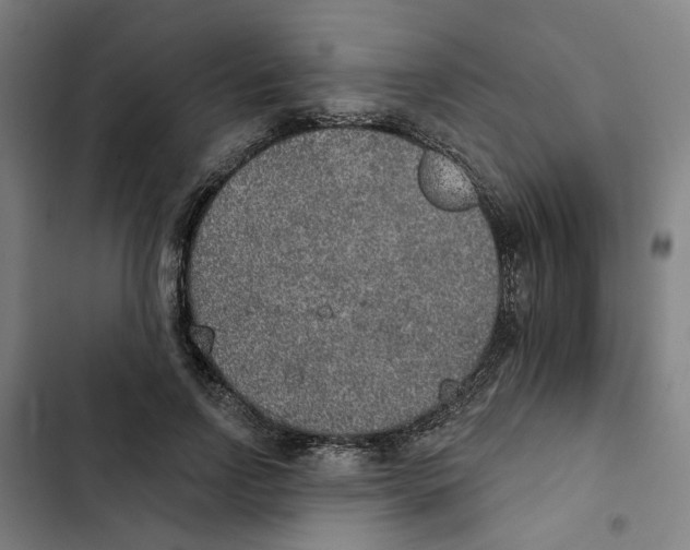 X0000102360742200808291225
