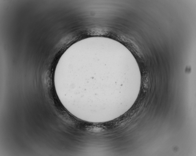 X0000102360743200808291225