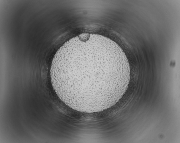 X0000102360745200808291225