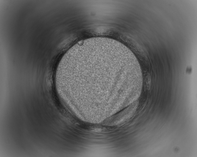 X0000102360746200808291225