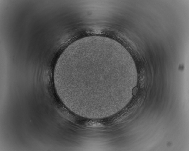 X0000102360747200808291225