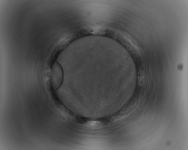 X0000102360748200808291225