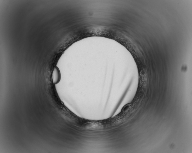 X0000102360750200808291225