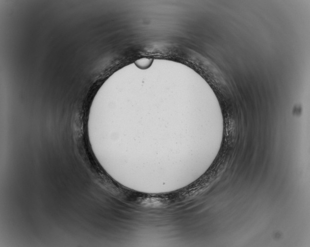 X0000102360751200808291225