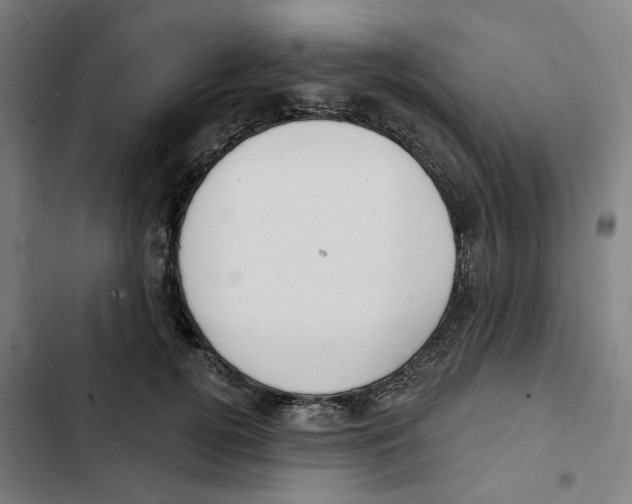 X0000102360752200808291225