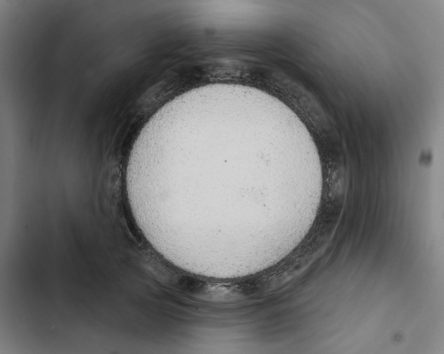 X0000102360753200808291225