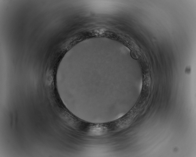 X0000102360754200808291225