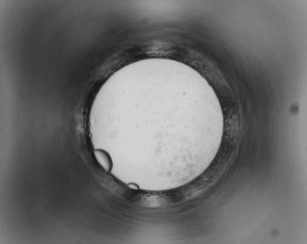 X0000102360755200808291225