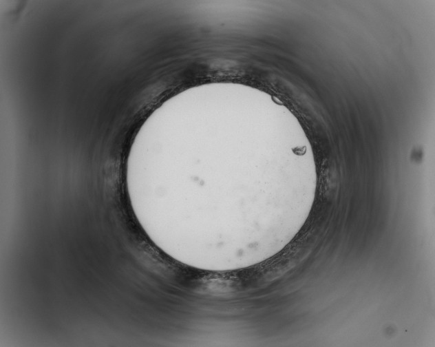 X0000102360756200808291225