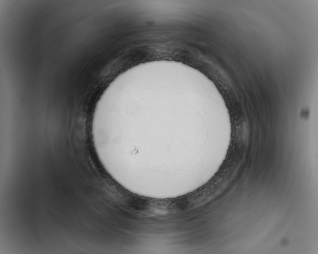 X0000102360757200808291225