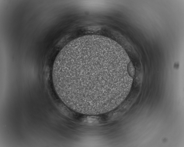 X0000102360758200808291225